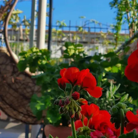 E S S E N T I A L بومبيي