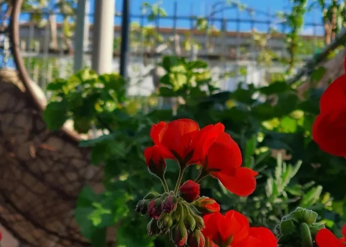 E S S E N T I A L Pompeji