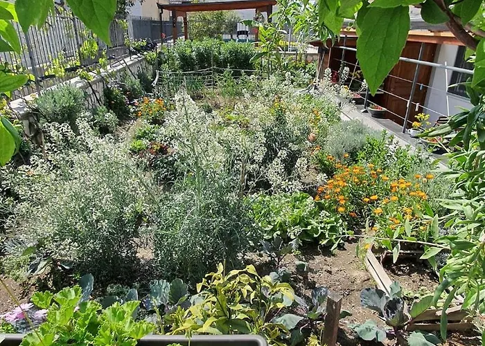 Lägenhet E S S E N T I A L